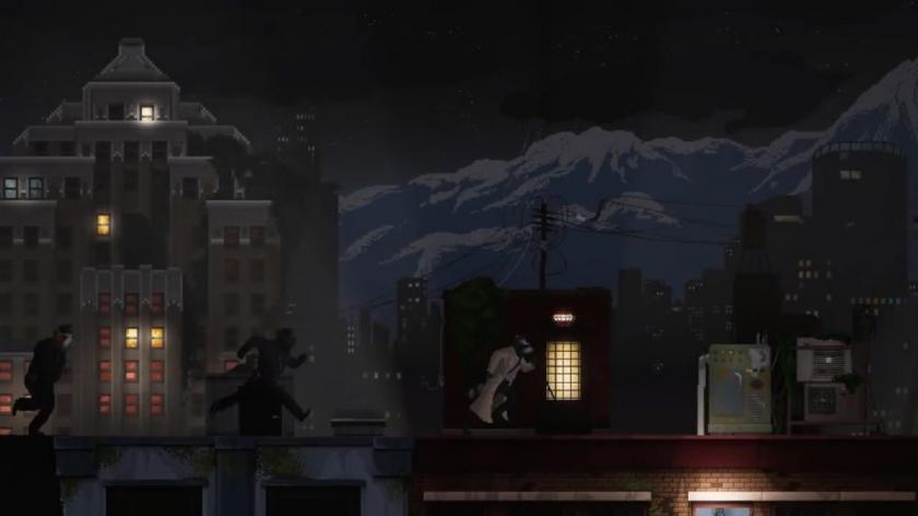 浣熊硬探