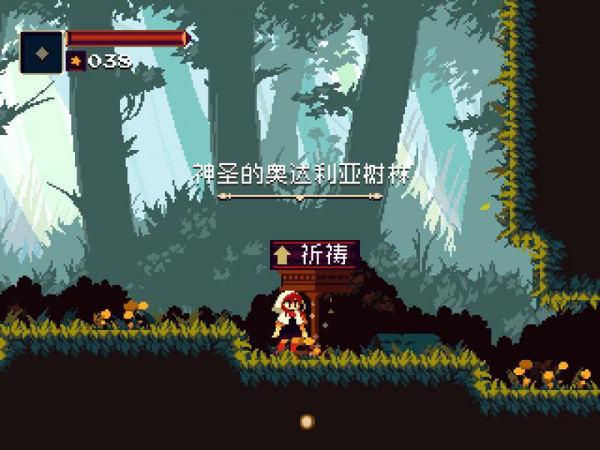桃与多拉：月光下的遐想